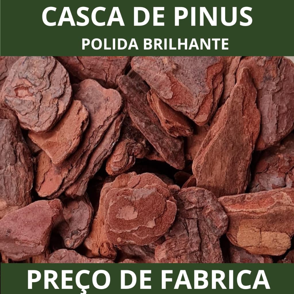 Casca De Pinus Polida Natural - Selecionadas Jardinagem Decoração de Plantas Saco 2, 5, 10 litros