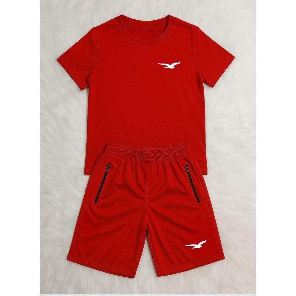 Camiseta e Bermuda Infantil E Juvenil Masculino Com Elástico e BOLSOS  04 á 16 Anos